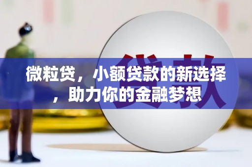 连山微粒贷，小额贷款的新选择，助力你的金融梦想
