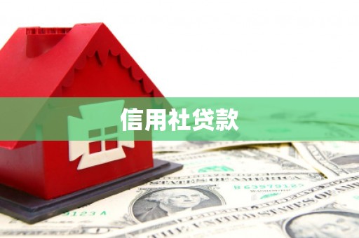 新宾信用社贷款