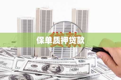 荆州保单质押贷款