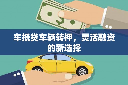 荆州车抵贷车辆转押，灵活融资的新选择