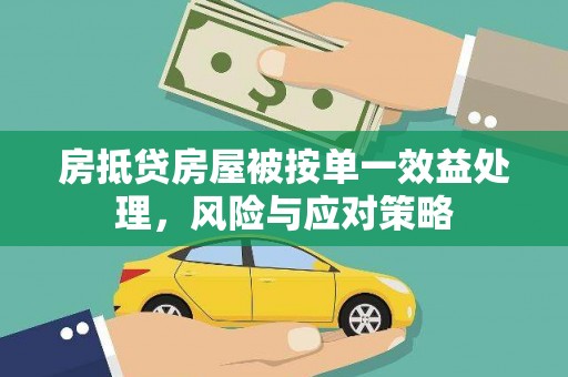 浙江房抵贷房屋被按单一效益处理，风险与应对策略