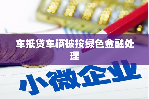武山车抵贷车辆被按绿色金融处理