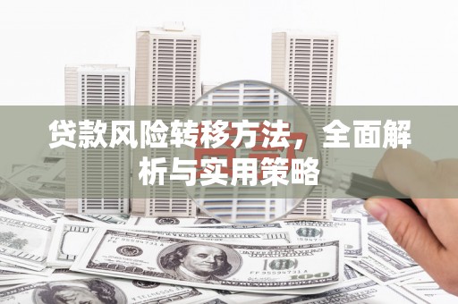 东凤贷款风险转移方法，全面解析与实用策略