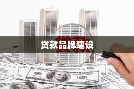东凤贷款品牌建设