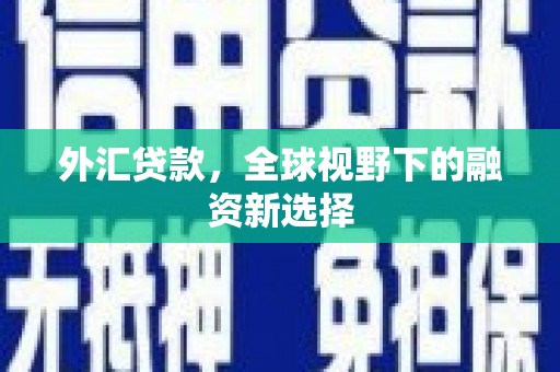 池州外汇贷款，全球视野下的融资新选择