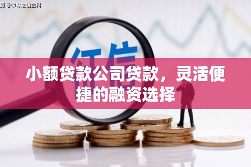 龙里小额贷款公司贷款，灵活便捷的融资选择