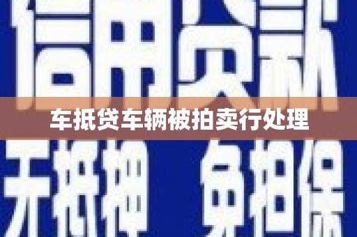 武山车抵贷车辆被拍卖行处理
