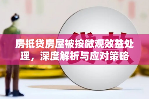 暖暖房抵贷房屋被按微观效益处理，深度解析与应对策略