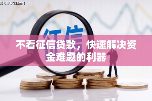 田林不看征信贷款，快速解决资金难题的利器