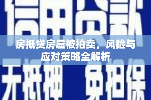 田林房抵贷房屋被拍卖，风险与应对策略全解析