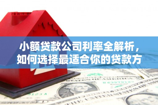 灵丘小额贷款公司利率全解析，如何选择最适合你的贷款方案？