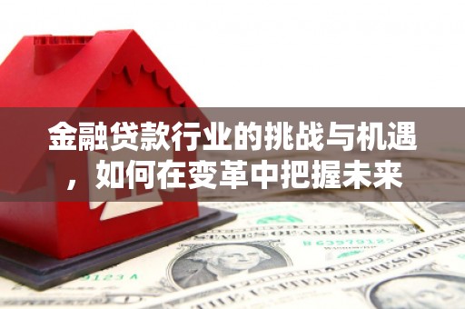 迭部金融贷款行业的挑战与机遇，如何在变革中把握未来