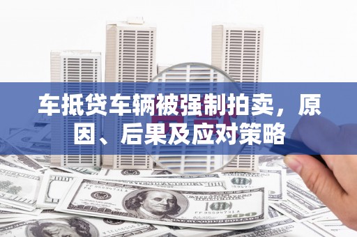 暖暖车抵贷车辆被强制拍卖，原因、后果及应对策略
