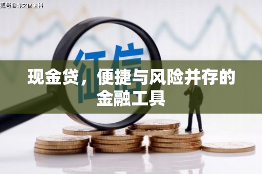 钦南现金贷，便捷与风险并存的金融工具
