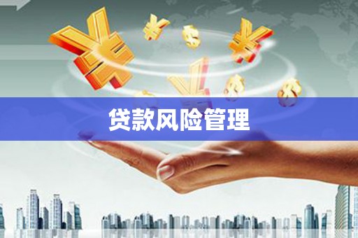 巴中贷款风险管理