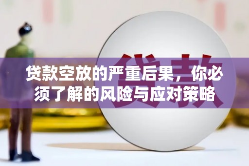 迭部贷款空放的严重后果，你必须了解的风险与应对策略