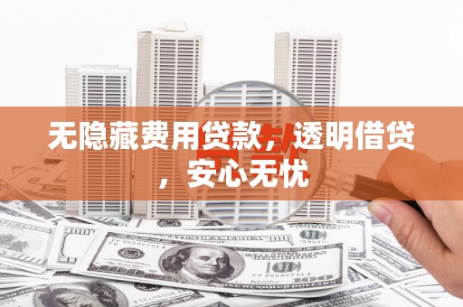 东营无隐藏费用贷款，透明借贷，安心无忧