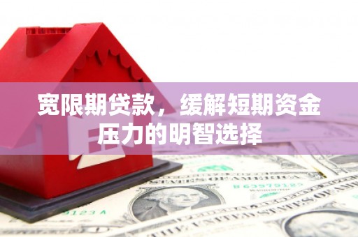 丰原宽限期贷款，缓解短期资金压力的明智选择