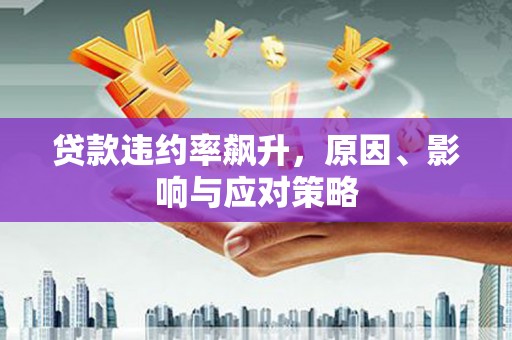 赫山贷款违约率飙升，原因、影响与应对策略