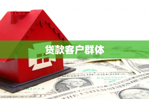 九龙贷款客户群体