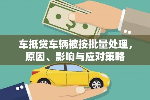 九龙车抵贷车辆被按批量处理，原因、影响与应对策略
