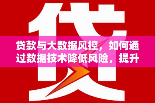 那曲贷款与大数据风控，如何通过数据技术降低风险，提升贷款效率