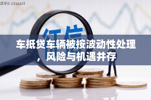 墨江车抵贷车辆被按波动性处理，风险与机遇并存