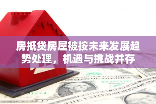 九龙房抵贷房屋被按未来发展趋势处理，机遇与挑战并存