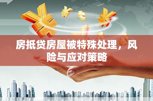 荥阳房抵贷房屋被特殊处理，风险与应对策略