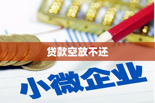 元谋贷款空放不还