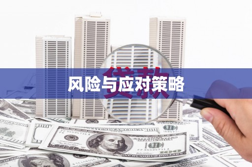 思明风险与应对策略