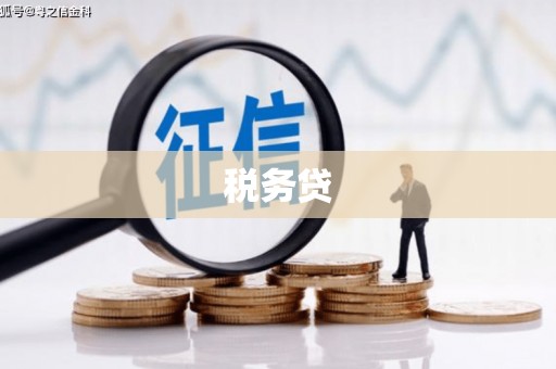 南明税务贷