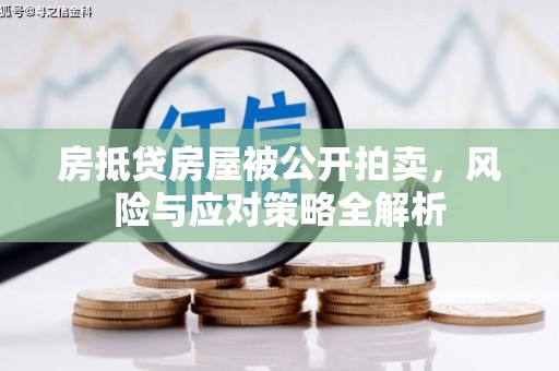 柳河房抵贷房屋被公开拍卖，风险与应对策略全解析