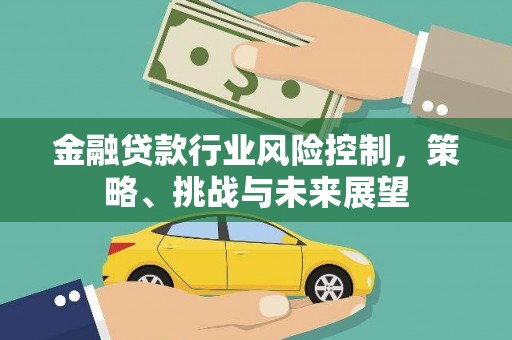 靖江金融贷款行业风险控制，策略、挑战与未来展望
