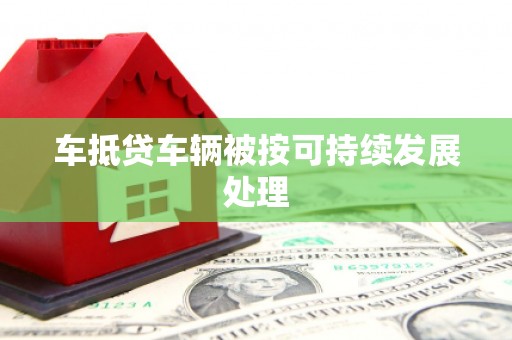 南城车抵贷车辆被按可持续发展处理