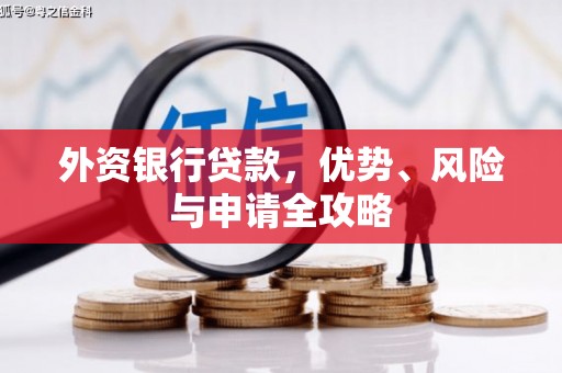 菏泽外资银行贷款，优势、风险与申请全攻略