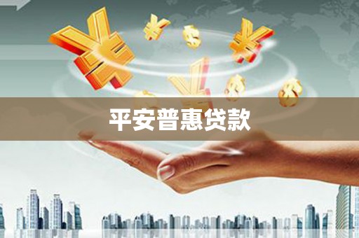 盐边平安普惠贷款