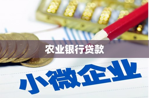 尼木农业银行贷款