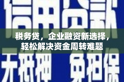 尼木税务贷，企业融资新选择，轻松解决资金周转难题