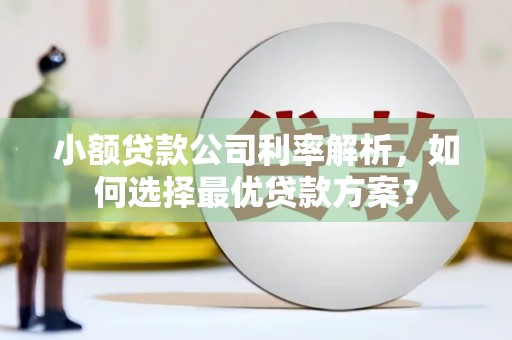 武侯小额贷款公司利率解析，如何选择最优贷款方案？