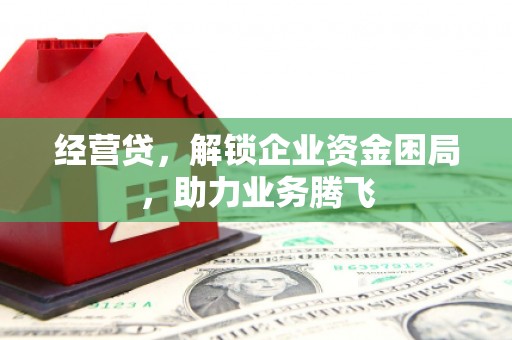 昭化经营贷，解锁企业资金困局，助力业务腾飞