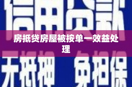 莎车房抵贷房屋被按单一效益处理