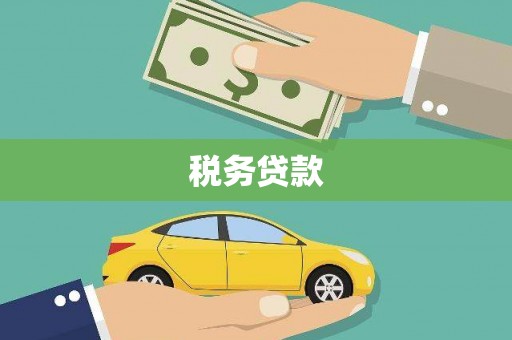 昭化税务贷款