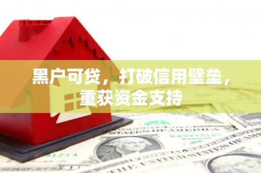 新市黑户可贷，打破信用壁垒，重获资金支持