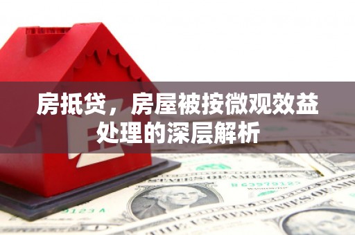 富源房抵贷，房屋被按微观效益处理的深层解析