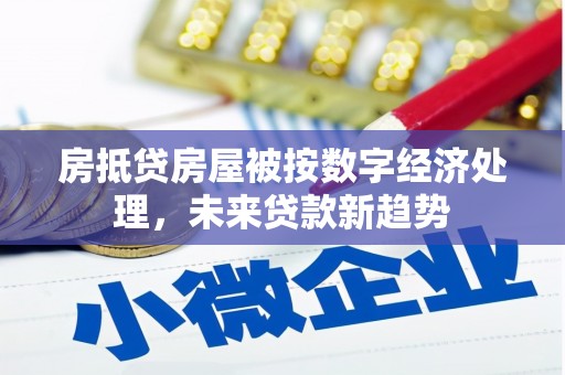全南房抵贷房屋被按数字经济处理，未来贷款新趋势