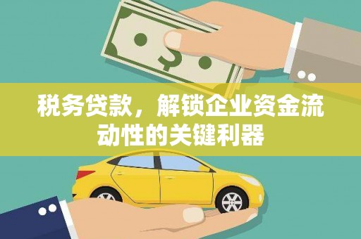 临潭税务贷款，解锁企业资金流动性的关键利器