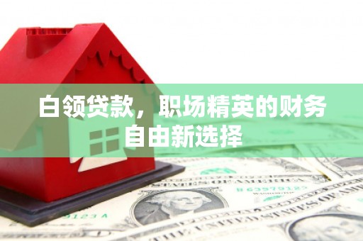 临潭白领贷款，职场精英的财务自由新选择