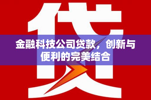 榆树金融科技公司贷款，创新与便利的完美结合