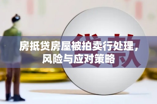 香格里拉房抵贷房屋被拍卖行处理，风险与应对策略